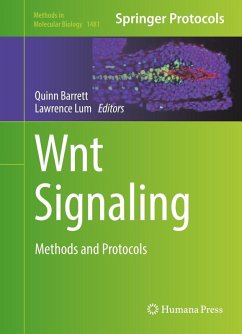 Wnt Signaling (eBook, PDF)