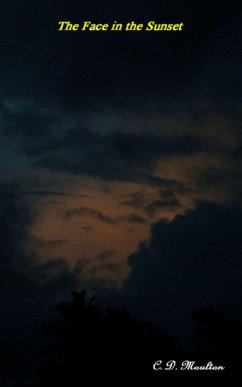 Cover The Face in the Sunset (eBook, ePUB)