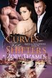 Curves for Shifters (eBook, ePUB) - Bild 1