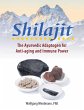 Shilajit - Bild 1