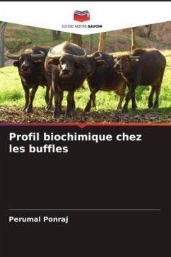 Profil biochimique chez les buffles - Ponraj, Perumal