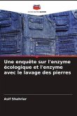 Une enquête sur l'enzyme écologique et l'enzyme avec le lavage des pierres