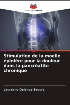 Stimulation de la moelle épinière pour la douleur dans la pancréatite chronique - Delange Segura, Laureano