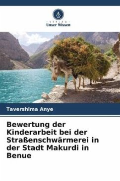 Bewertung der Kinderarbeit bei der Straßenschwärmerei in der Stadt Makurdi in Benue - Anye, Tavershima