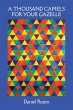 1,000 Camels for Your Gazelle - Bild 1