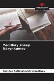 Yedilbay sheep Narynkumov