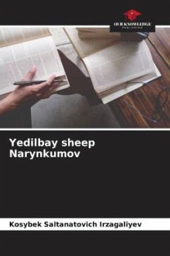 Yedilbay sheep Narynkumov - Irzagaliyev, Kosybek Saltanatovich