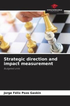 Strategic direction and impact measurement - Pozo Gaskin, Jorge Félix