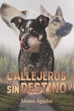 Callejeros sin destino - Aguilar, Alonso