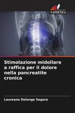 Stimolazione midollare a raffica per il dolore nella pancreatite cronica - Delange Segura, Laureano