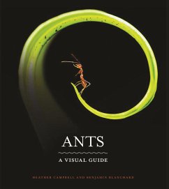 Ants - Campbell, Heather; Blanchard, Benjamin
