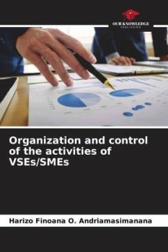 Organization and control of the activities of VSEs/SMEs - O. Andriamasimanana, Harizo Finoana