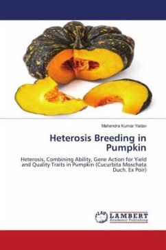 Heterosis Breeding in Pumpkin
