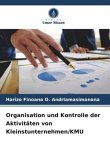 Organisation und Kontrolle der Aktivitäten von Kleinstunternehmen/KMU