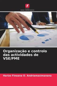 Organização e controlo das actividades de VSE/PME - O. Andriamasimanana, Harizo Finoana
