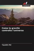 Come la gravità controlla l'universo