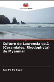 Culture de Laurencia sp.1 (Ceramiales, Rhodophyta) de Myanmar