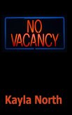 No Vacancy: A Forced Proximity Erotic Romance (eBook, ePUB)