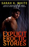 Explicit Eroctic Stories (eBook, ePUB)