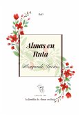 Almas en Ruta (eBook, ePUB)