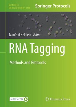 RNA Tagging (eBook, PDF)