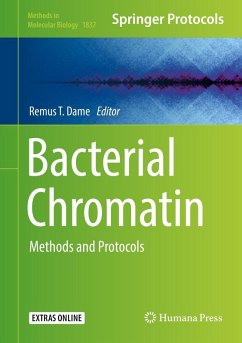 Cover Bacterial Chromatin (eBook, PDF)