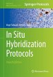 In Situ Hybridization Protocols (eBook,... - Bild 1