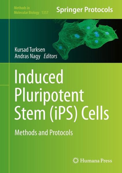 Induced Pluripotent Stem (iPS) Cells (eBook, PDF) Induced Pluripotent Stem (iPS) Cells (eBook, PDF)