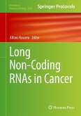 Long Non-Coding RNAs in Cancer (eBook, PDF)