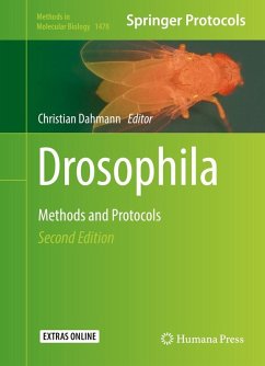 Drosophila (eBook, PDF)