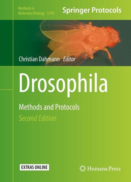 Drosophila (eBook, PDF)