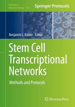 Cover Stem Cell Transcriptional Networks (eBook, PDF)