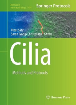 Cover Cilia (eBook, PDF)