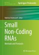 Small Non-Coding RNAs (eBook, PDF) - Bild 1