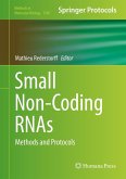 Small Non-Coding RNAs (eBook, PDF)