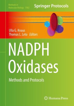 NADPH Oxidases (eBook, PDF)