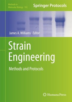 Strain Engineering (eBook, PDF)