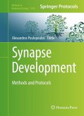 Synapse Development (eBook, PDF)