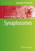 Synaptosomes (eBook, PDF)