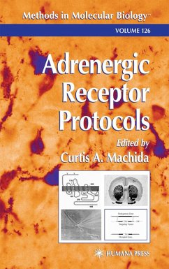 Cover Adrenergic Receptor Protocols (eBook, PDF)