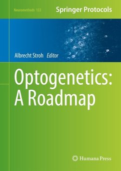 Optogenetics: A Roadmap (eBook, PDF)