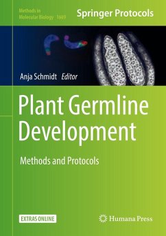 Cover Plant Germline Development (eBook, PDF)