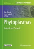 Phytoplasmas (eBook, PDF)