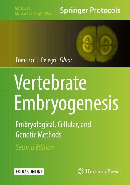Vertebrate Embryogenesis (eBook, PDF)