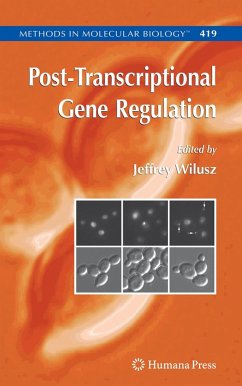 Post-Transcriptional Gene Regulation (eBook, PDF)