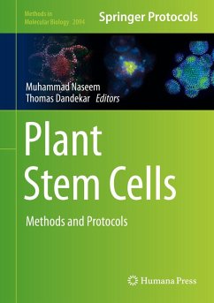Plant Stem Cells (eBook, PDF)