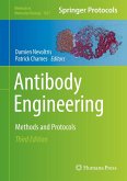 Antibody Engineering (eBook, PDF)