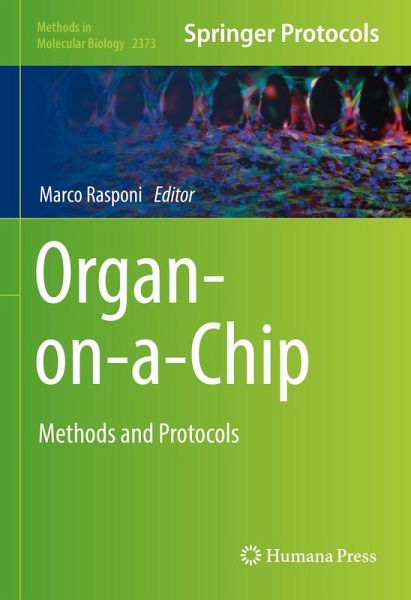 Organ-on-a-Chip (eBook, PDF)