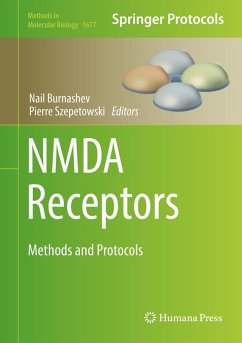 Cover NMDA Receptors (eBook, PDF)