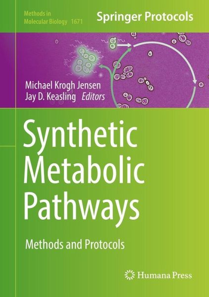 Synthetic Metabolic Pathways (eBook, PDF) Synthetic Metabolic Pathways (eBook, PDF)
